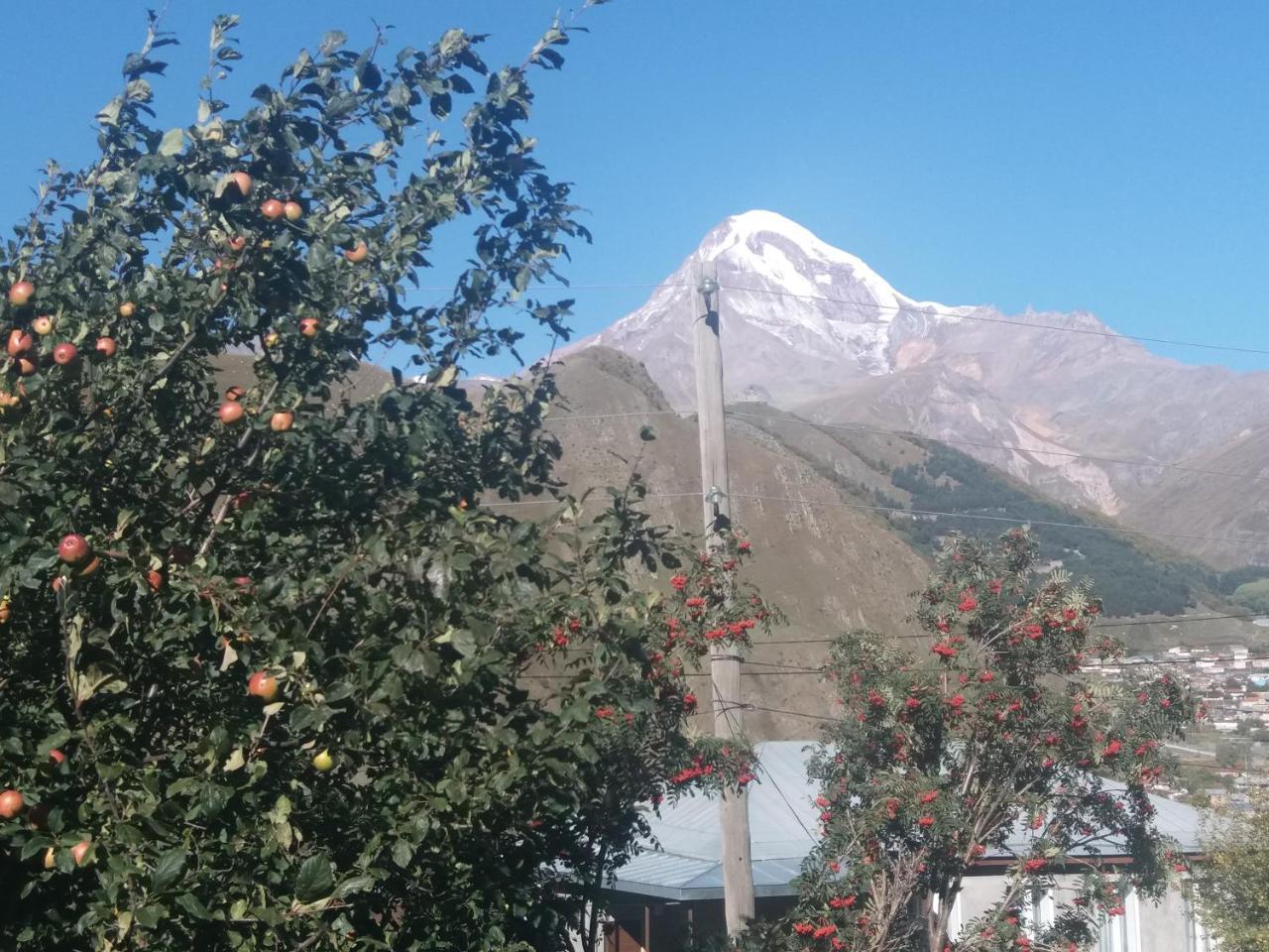 Guest House Sandro Kazbegi Exterior foto